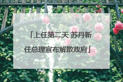 上任第二天 苏丹新任总理宣布解散政府