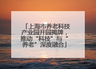 上海市养老科技产业园开园揭牌，推动“科技”与“养老”深度融合