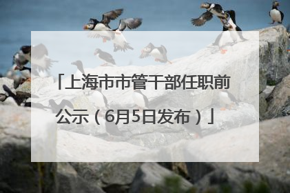 上海市市管干部任职前公示（6月5日发布）