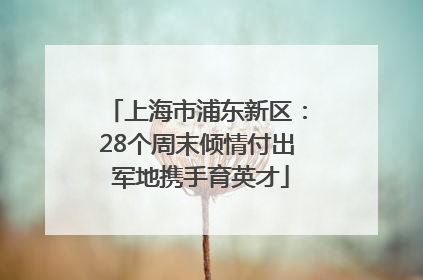 上海市浦东新区：28个周末倾情付出 军地携手育英才