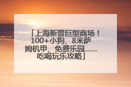 上海新晋巨型商场！100+小狗、8米萨姆机甲、免费乐园……吃喝玩乐攻略