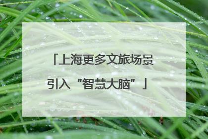 上海更多文旅场景引入“智慧大脑”