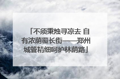 不须秉烛寻凉去 自有浓荫覆长街——郑州城管精细呵护林荫路