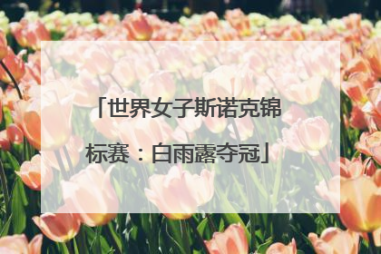 世界女子斯诺克锦标赛：白雨露夺冠