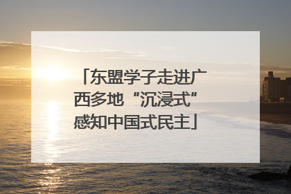 东盟学子走进广西多地“沉浸式”感知中国式民主