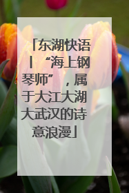 东湖快语丨“海上钢琴师”，属于大江大湖大武汉的诗意浪漫