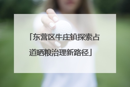 东营区牛庄镇探索占道晒粮治理新路径