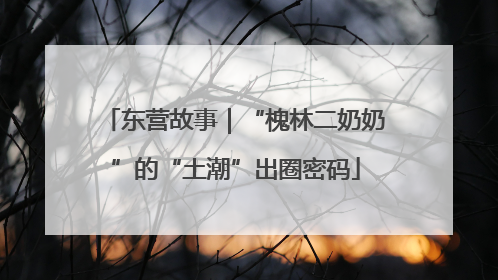 东营故事｜“槐林二奶奶”的“土潮”出圈密码