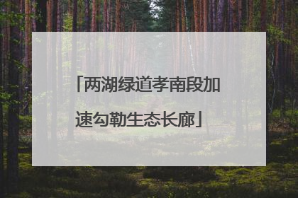 两湖绿道孝南段加速勾勒生态长廊