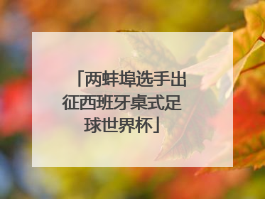 两蚌埠选手出征西班牙桌式足球世界杯