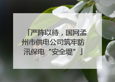严阵以待，国网孟州市供电公司筑牢防汛保电“安全堤”