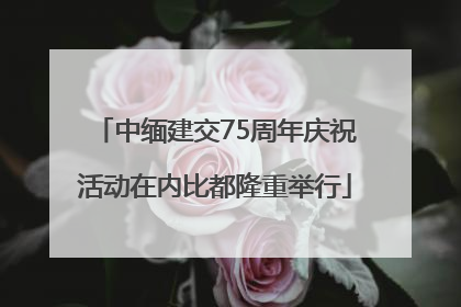 中缅建交75周年庆祝活动在内比都隆重举行