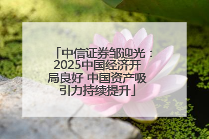 中信证券邹迎光：2025中国经济开局良好 中国资产吸引力持续提升