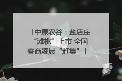 中原农谷：盐店庄“滩桃”上市 全国客商凌晨“赶集”