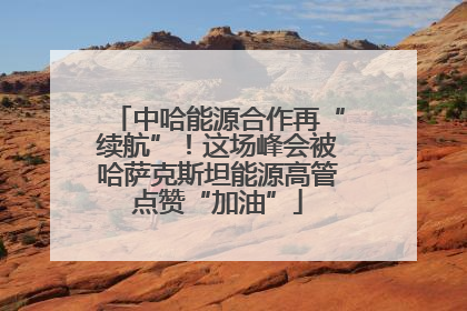 中哈能源合作再“续航”！这场峰会被哈萨克斯坦能源高管点赞“加油”