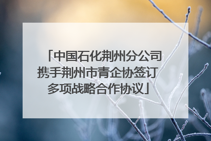 中国石化荆州分公司携手荆州市青企协签订多项战略合作协议