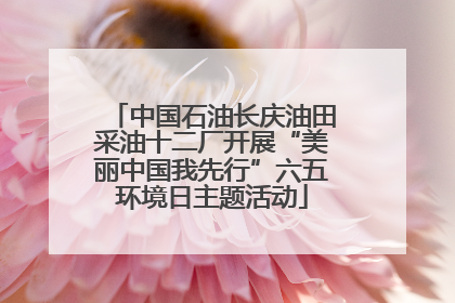 中国石油长庆油田采油十二厂开展“美丽中国我先行”六五环境日主题活动
