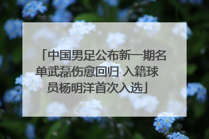 中国男足公布新一期名单武磊伤愈回归 入籍球员杨明洋首次入选