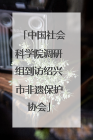 中国社会科学院调研组到访绍兴市非遗保护协会