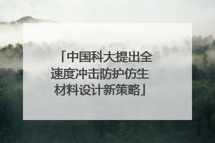 中国科大提出全速度冲击防护仿生材料设计新策略