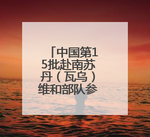中国第15批赴南苏丹（瓦乌）维和部队参加联合国维和人员日纪念活动