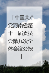 中国共产党河南省第十一届委员会第九次全体会议公报