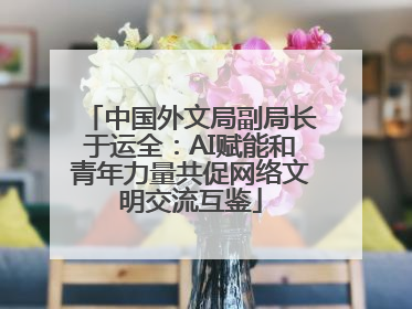 中国外文局副局长于运全：AI赋能和青年力量共促网络文明交流互鉴