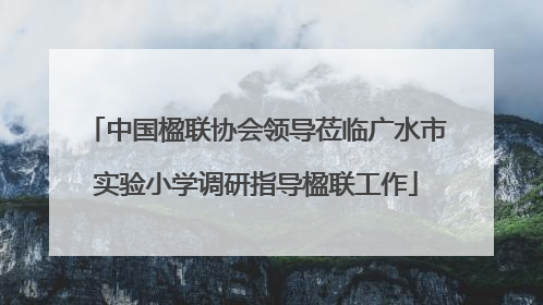 中国楹联协会领导莅临广水市实验小学调研指导楹联工作