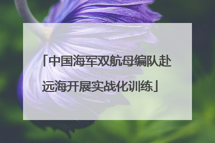 中国海军双航母编队赴远海开展实战化训练