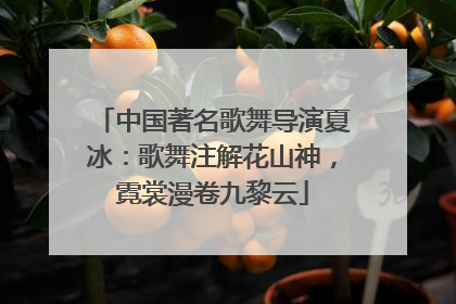 中国著名歌舞导演夏冰：歌舞注解花山神，霓裳漫卷九黎云