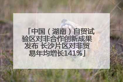 中国（湖南）自贸试验区对非合作创新成果发布 长沙片区对非贸易年均增长141%