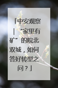 中安观察｜“家里有矿”的皖北双城，如何答好转型之问？