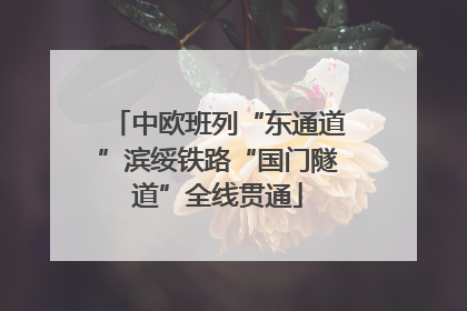 中欧班列“东通道”滨绥铁路“国门隧道”全线贯通