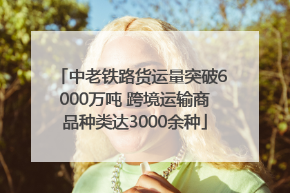 中老铁路货运量突破6000万吨 跨境运输商品种类达3000余种