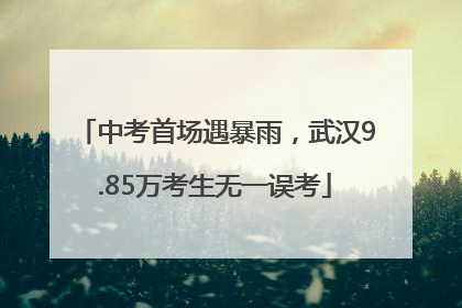 中考首场遇暴雨，武汉9.85万考生无一误考