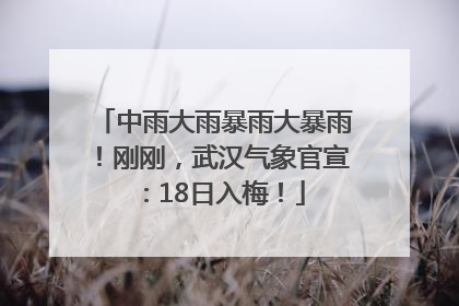 中雨大雨暴雨大暴雨！刚刚，武汉气象官宣：18日入梅！