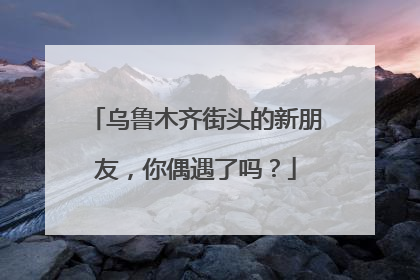 乌鲁木齐街头的新朋友，你偶遇了吗？
