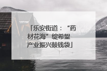 乐安街道：“药材花海”绽希望 产业振兴鼓钱袋