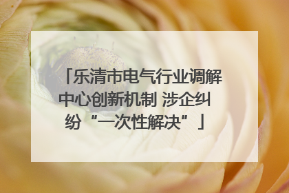 乐清市电气行业调解中心创新机制 涉企纠纷“一次性解决”