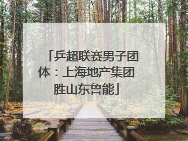 乒超联赛男子团体：上海地产集团胜山东鲁能