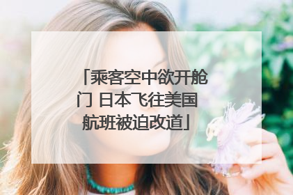 乘客空中欲开舱门 日本飞往美国航班被迫改道