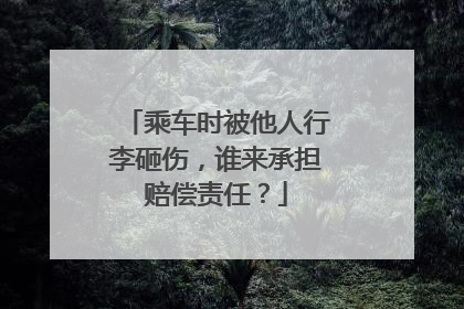 乘车时被他人行李砸伤，谁来承担赔偿责任？