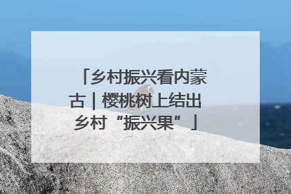 乡村振兴看内蒙古｜樱桃树上结出乡村“振兴果”
