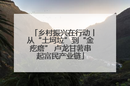 乡村振兴在行动丨从“土坷垃”到“金疙瘩” 卢龙甘薯串起富民产业链