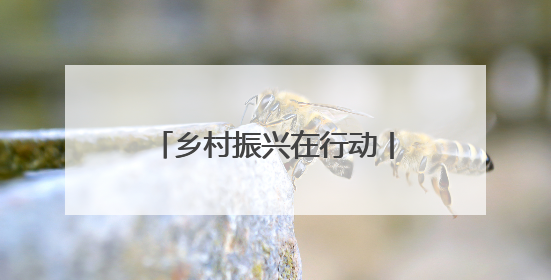 乡村振兴在行动丨河南南乐：西红柿铺就乡村振兴路