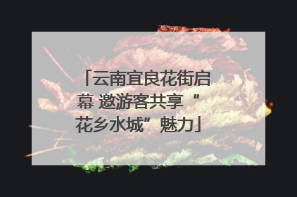 云南宜良花街启幕 邀游客共享“花乡水城”魅力