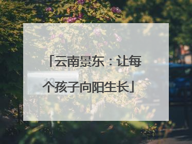 云南景东：让每个孩子向阳生长