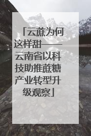 云蔗为何这样甜——云南省以科技助推蔗糖产业转型升级观察