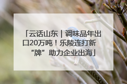 云话山东｜调味品年出口20万吨！乐陵连打新“牌”助力企业出海