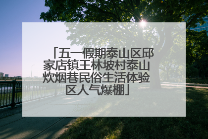 五一假期泰山区邱家店镇王林坡村泰山炊烟巷民俗生活体验区人气爆棚